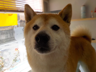 DSCN0343