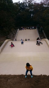 b9463c82.jpg
