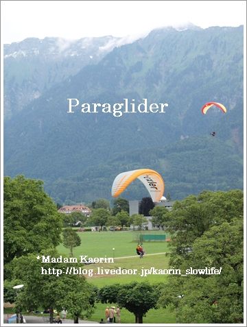 Paraglider