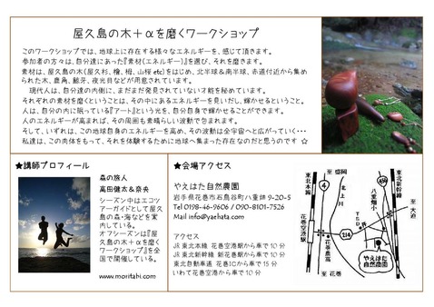屋久島の木WS裏