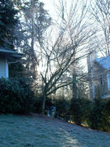 P1070294ss.jpg