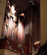 P1070290ss.jpg