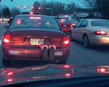 P1070287ss.jpg