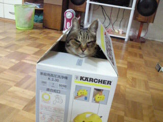レモン君