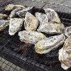 inline_120110101831