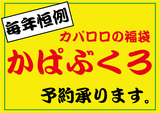 かぱぶくろブログ用