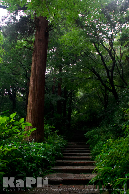 kamakura2