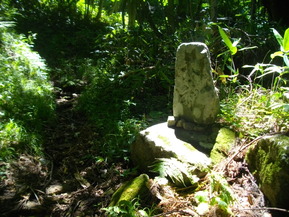 IMGP5977