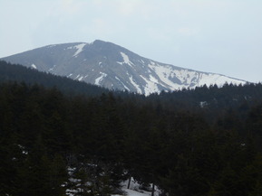 DSCN6042