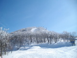 0440b13d.jpg