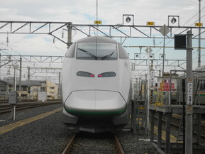 IMGP6995