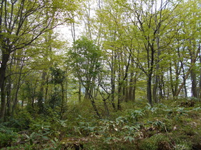 DSCN0377