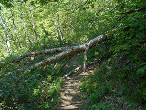 DSCN2075