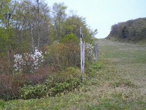 IMGP0701