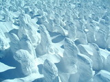 070c685c.jpg