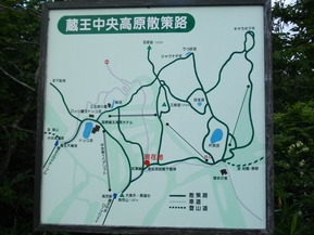 IMGP6252