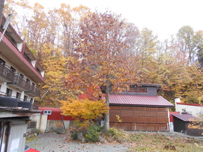DSCN1394