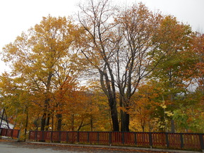DSCN2024