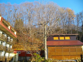 IMGP2851