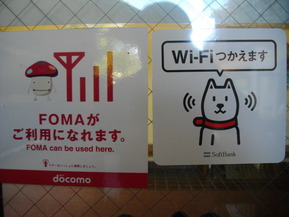 IMGP6330