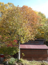 DSCN1339