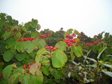 127fc79b.jpg