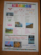DSCN7752