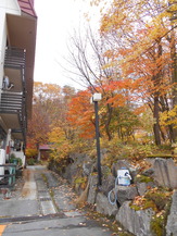DSCN1385