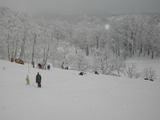 151cf638.jpg