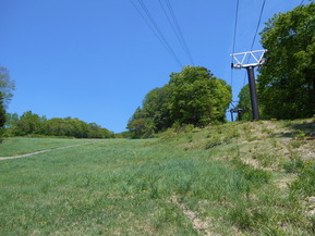 DSCN2086