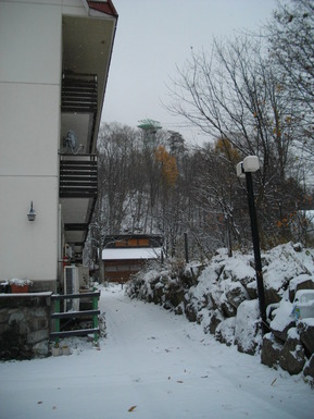 IMGP2796