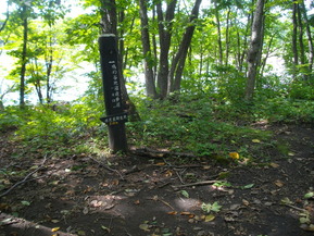 IMGP1919