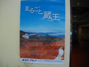 IMGP6277