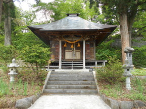 DSCN2041