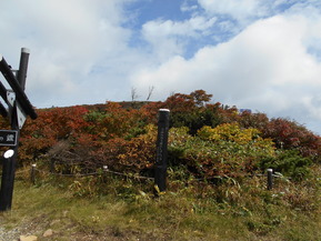 DSCN1151