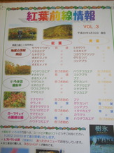 DSCN7651