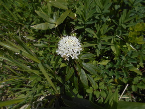 DSCN0808