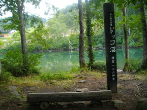 IMGP6260