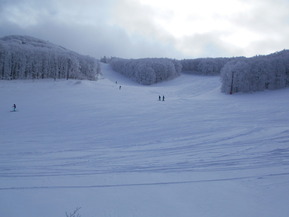 DSCN0061