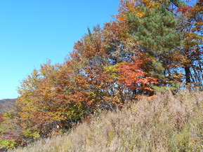 DSCN3373