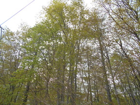 DSCN1887