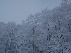 DSCN0033