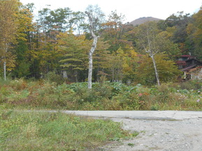 DSCN1996
