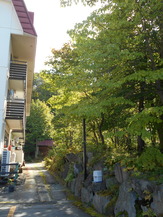 DSCN7732