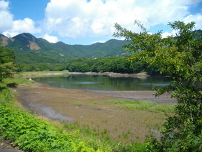 IMGP6420
