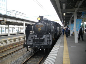 IMGP1833
