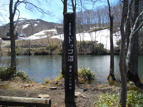 IMGP0412