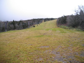 IMGP7088