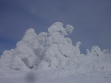 3024014e.jpg