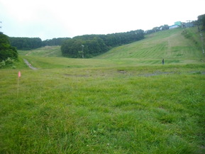 IMGP6257